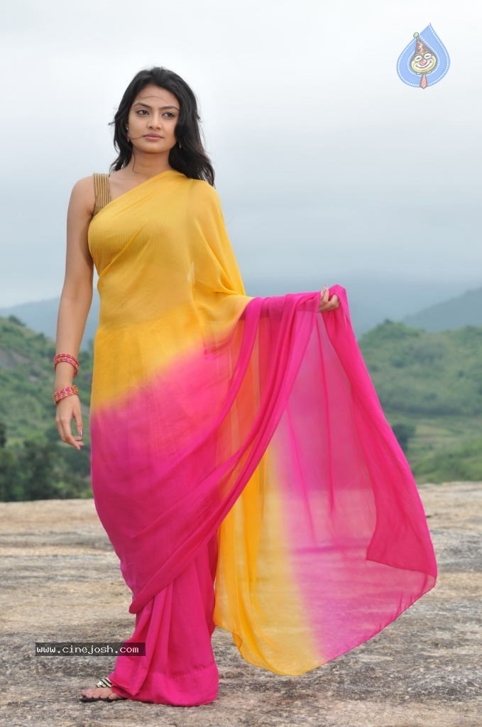 Nikitha Narayan New Stills - 41 / 108 photos