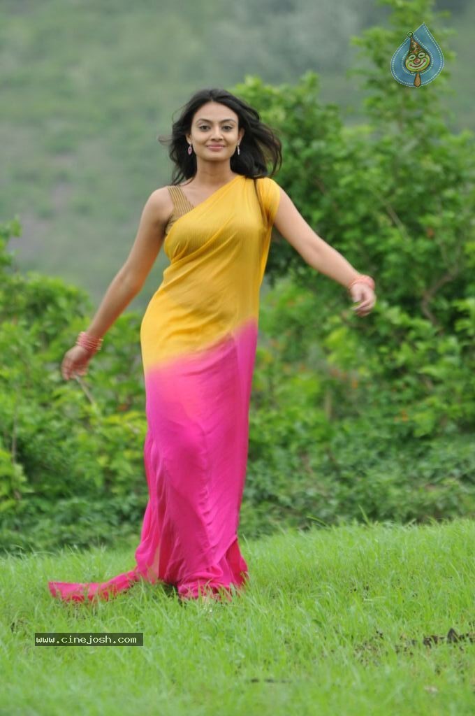 Nikitha Narayan New Stills - 80 / 108 photos