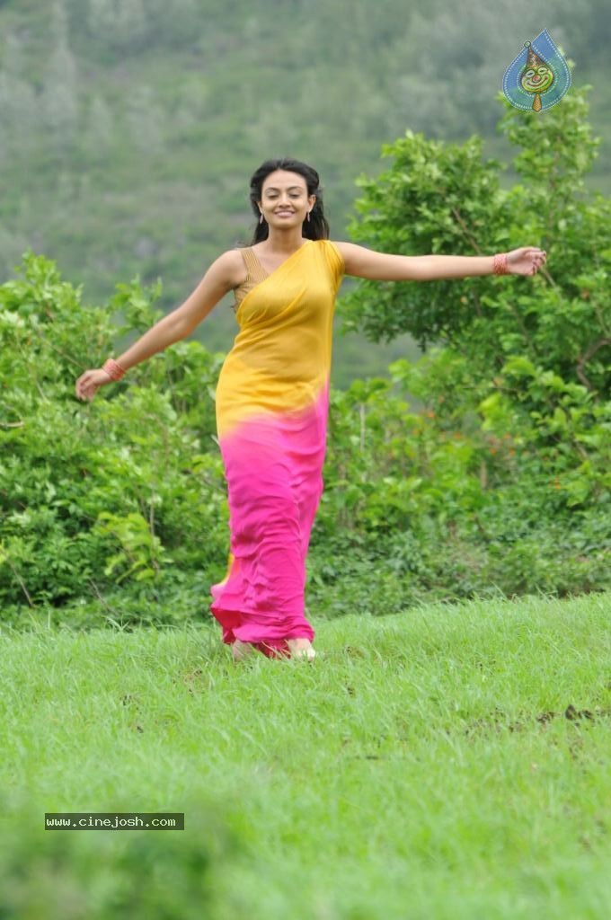 Nikitha Narayan New Stills - 91 / 108 photos