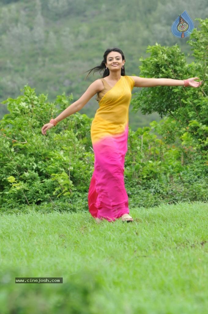 Nikitha Narayan New Stills - 104 / 108 photos
