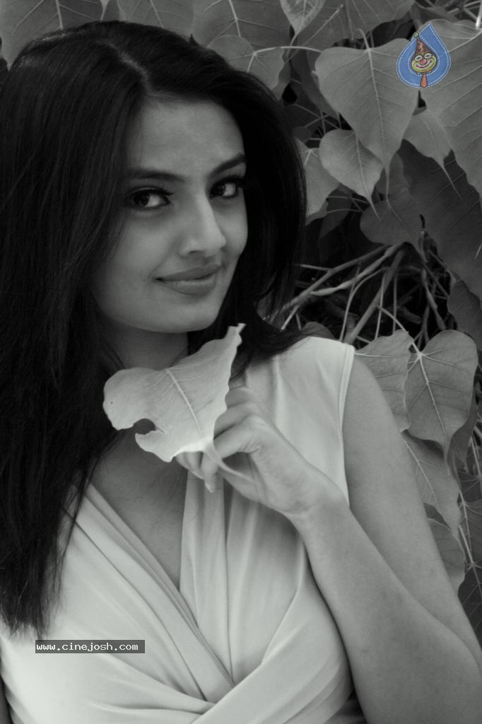 Nikitha Narayan Photoshoot Stills - 9 / 34 photos
