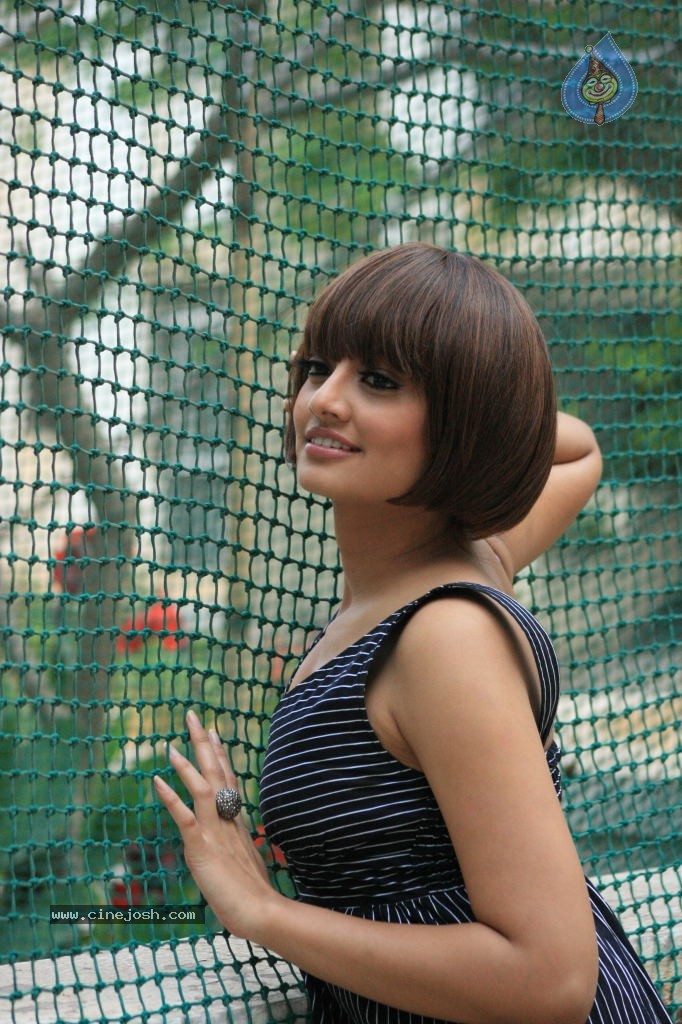 Nikitha Narayan Photoshoot Stills - 23 / 34 photos