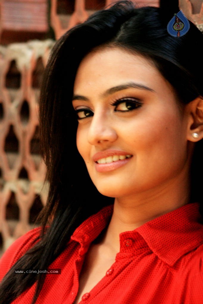 Nikitha Narayan Photoshoot Stills - 31 / 34 photos