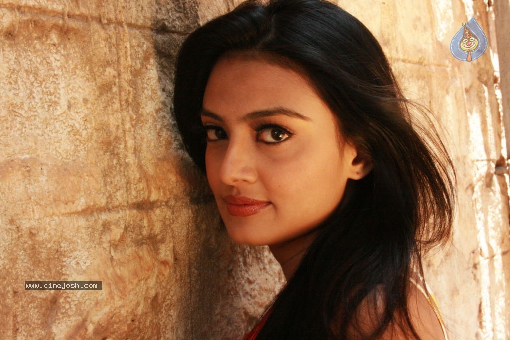 Nikitha Narayan Photoshoot Stills - 33 / 34 photos