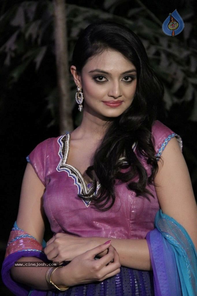 Nikitha Narayana New Photos - 9 / 100 photos
