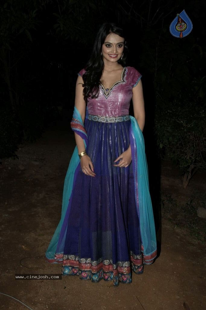 Nikitha Narayana New Photos - 14 / 100 photos