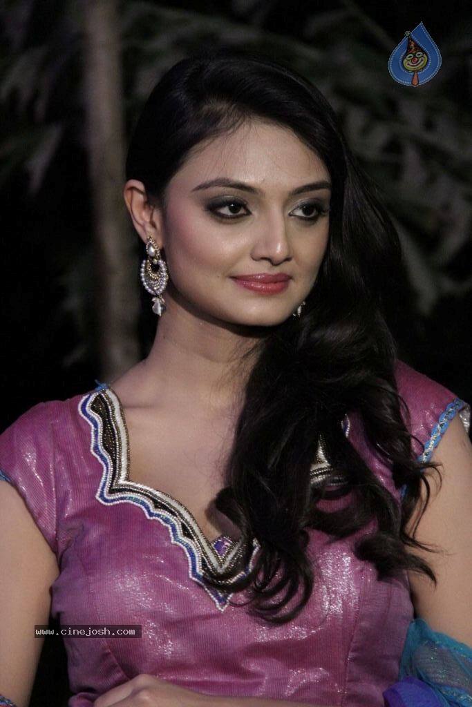 Nikitha Narayana New Photos - 26 / 100 photos