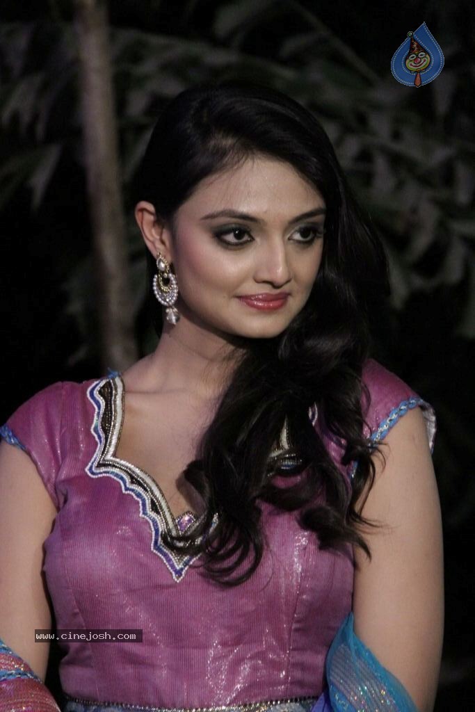 Nikitha Narayana New Photos - 37 / 100 photos