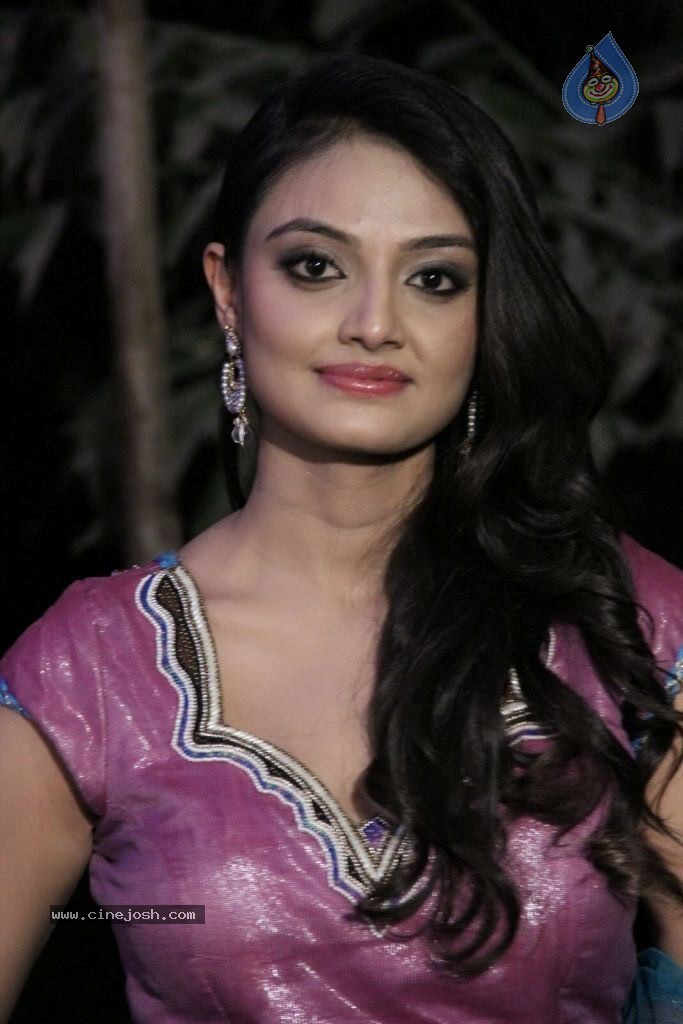 Nikitha Narayana New Photos - 51 / 100 photos