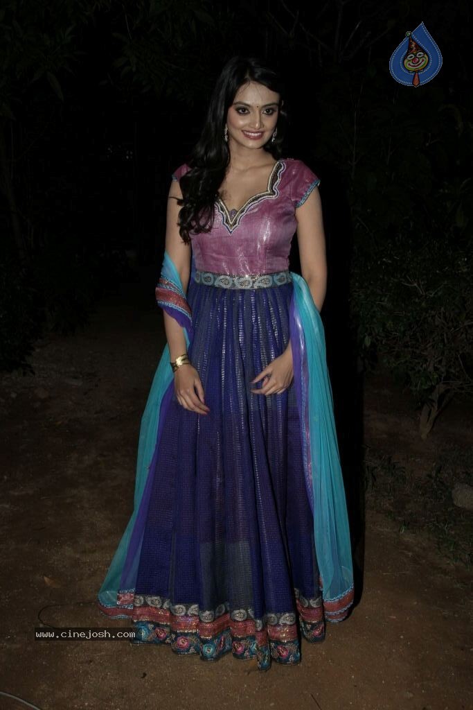 Nikitha Narayana New Photos - 87 / 100 photos