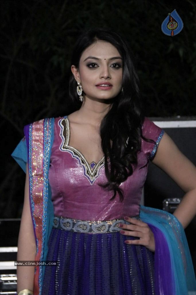 Nikitha Narayana New Photos - 90 / 100 photos