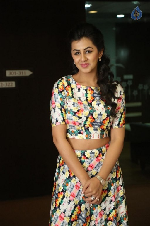 Nikki Galrani Latest Stills - 30 / 37 photos