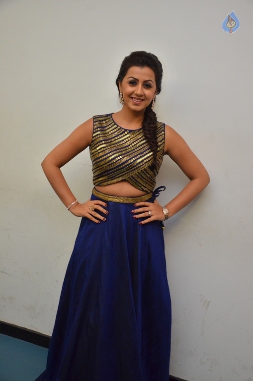 Nikki Galrani New Gallery - 20 / 30 photos