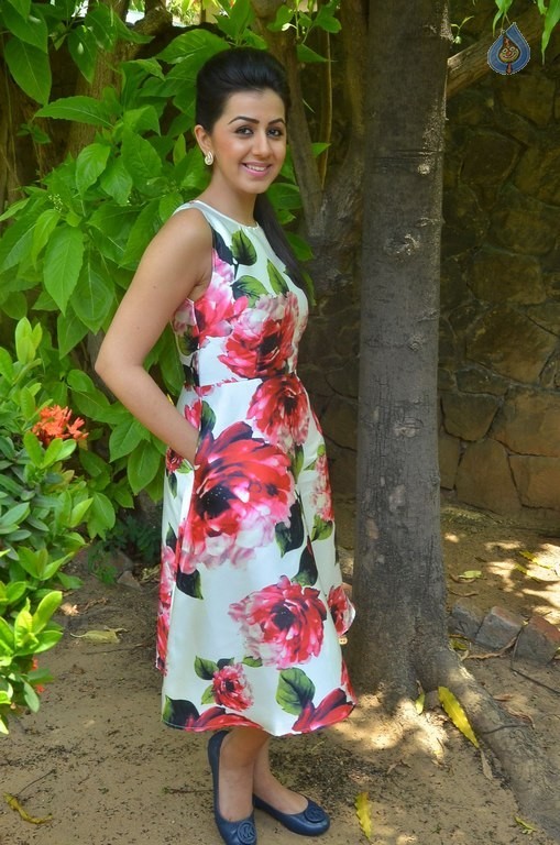 Nikki Galrani New Photos - 2 / 27 photos