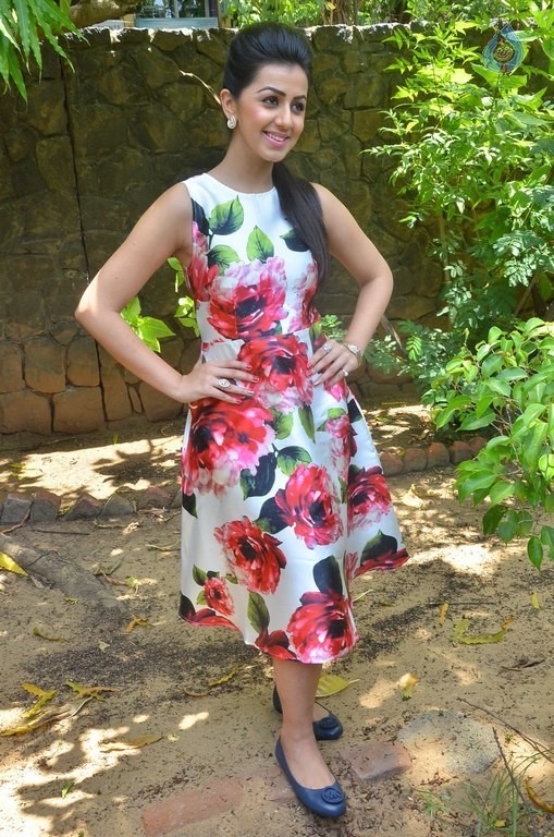 Nikki Galrani New Photos - 4 / 27 photos