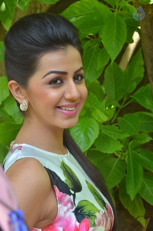 Nikki Galrani New Photos - 9 / 27 photos