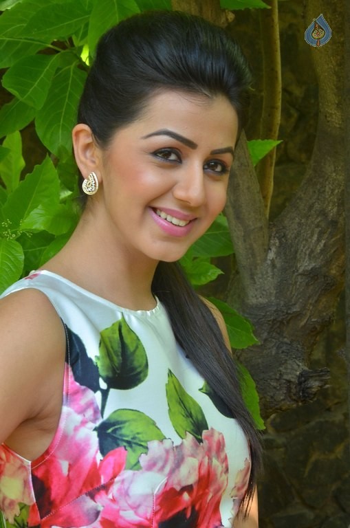 Nikki Galrani New Photos - 17 / 27 photos
