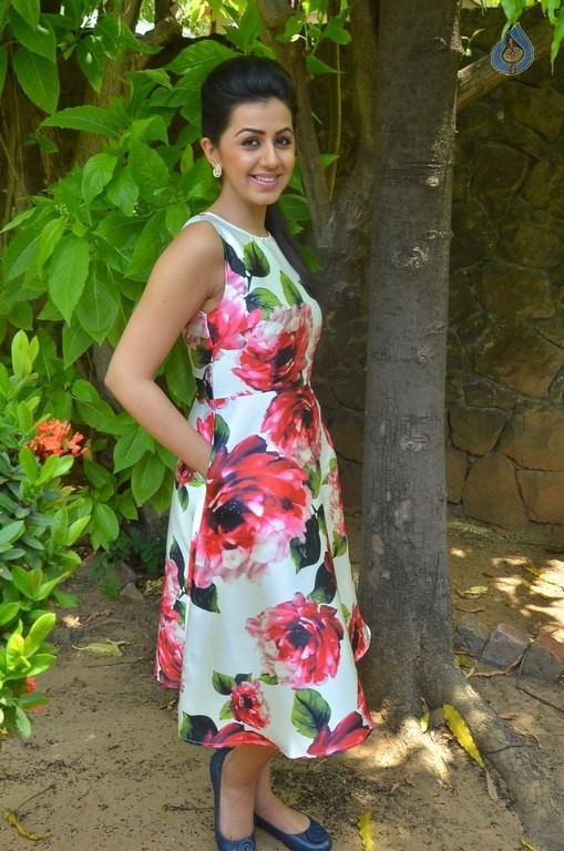 Nikki Galrani New Photos - 26 / 27 photos