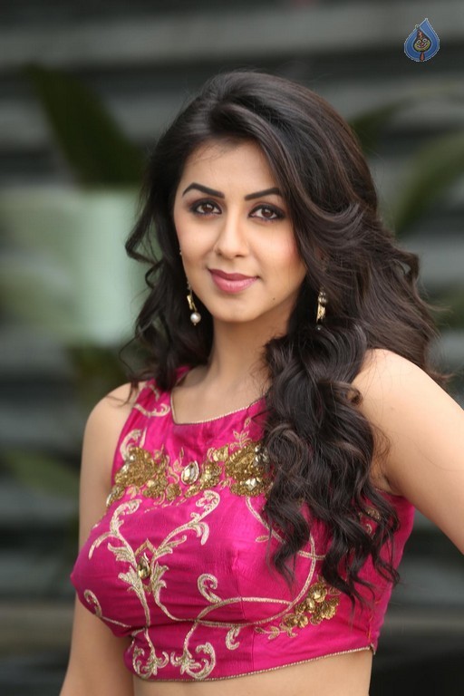 Nikki Galrani New Pics - 18 / 47 photos