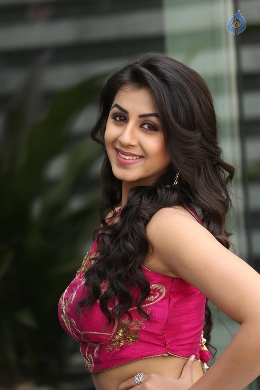 Nikki Galrani New Pics - 19 / 47 photos