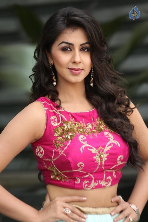 Nikki Galrani New Pics - 22 / 47 photos