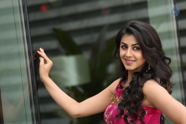 Nikki Galrani New Pics - 29 / 47 photos