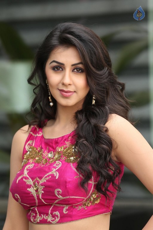 Nikki Galrani New Pics - 30 / 47 photos