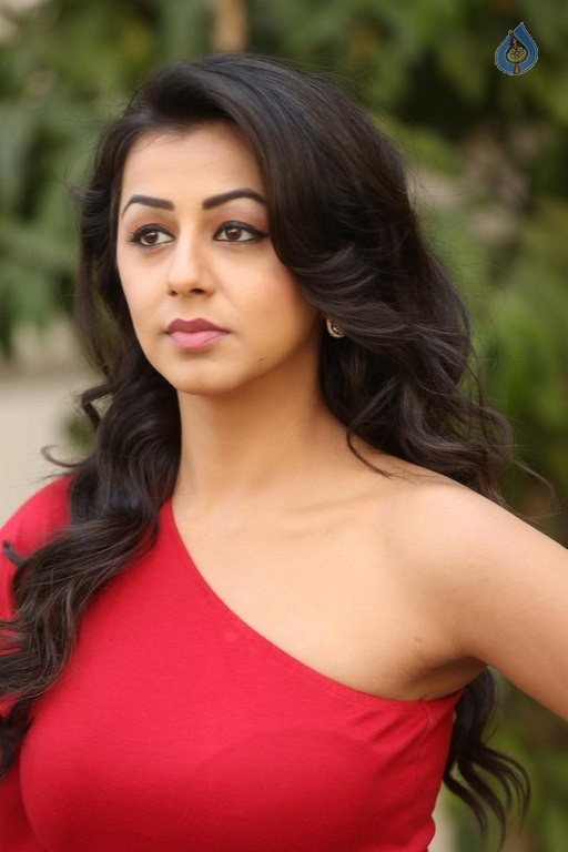 Nikki Galrani New Pics - 29 / 54 photos