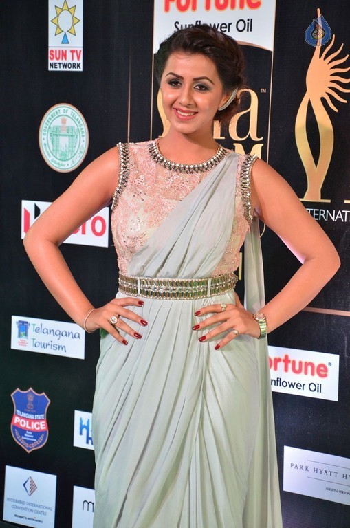 Nikki Galrani Pics - 28 / 30 photos