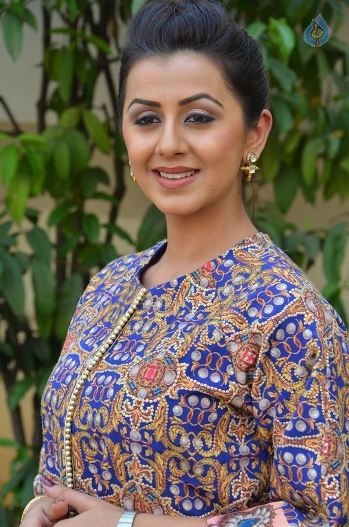 Nikki Galrani Pics - 14 / 29 photos