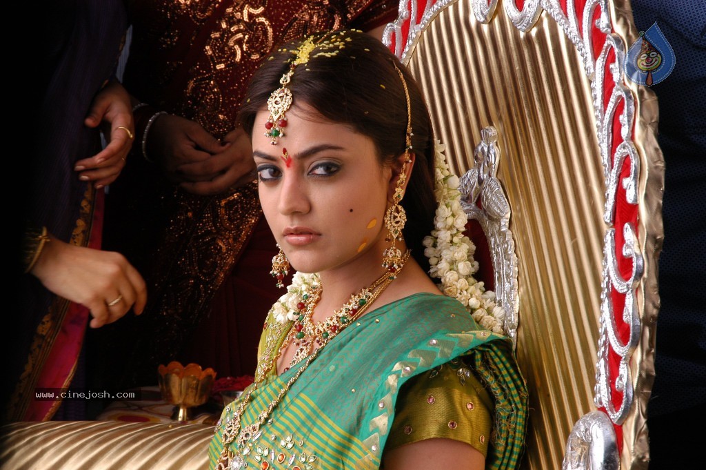 Nisha Agarwal Hot Stills - 25 / 61 photos