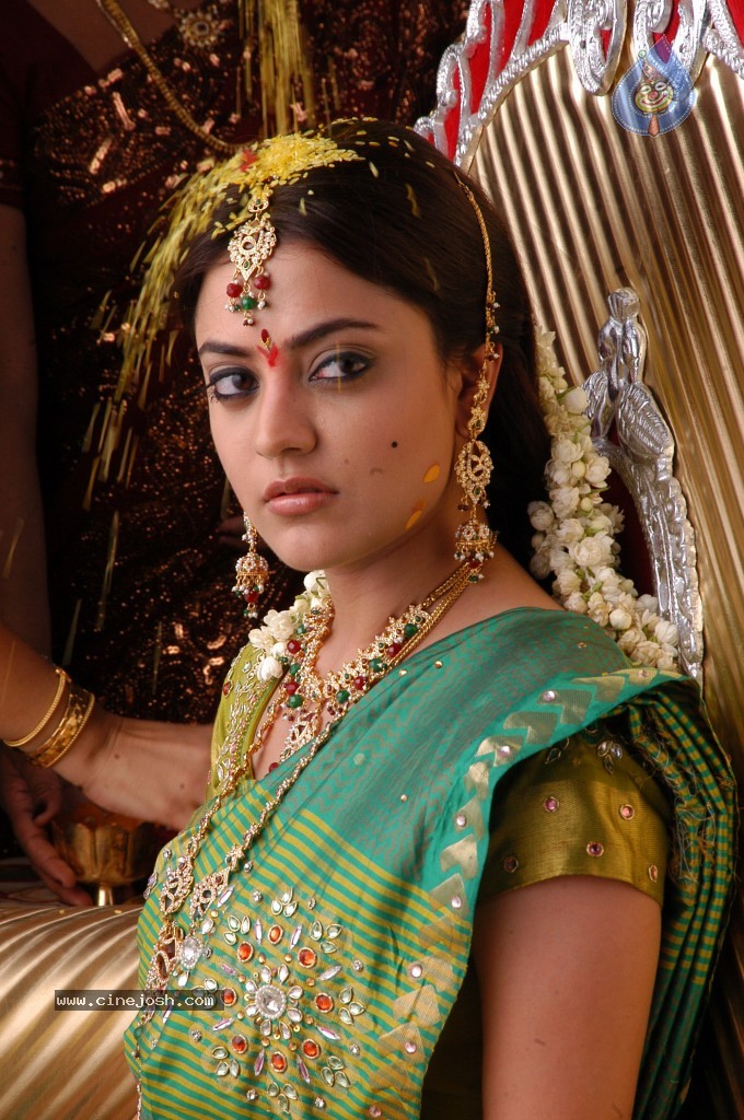 Nisha Agarwal Hot Stills - 29 / 61 photos