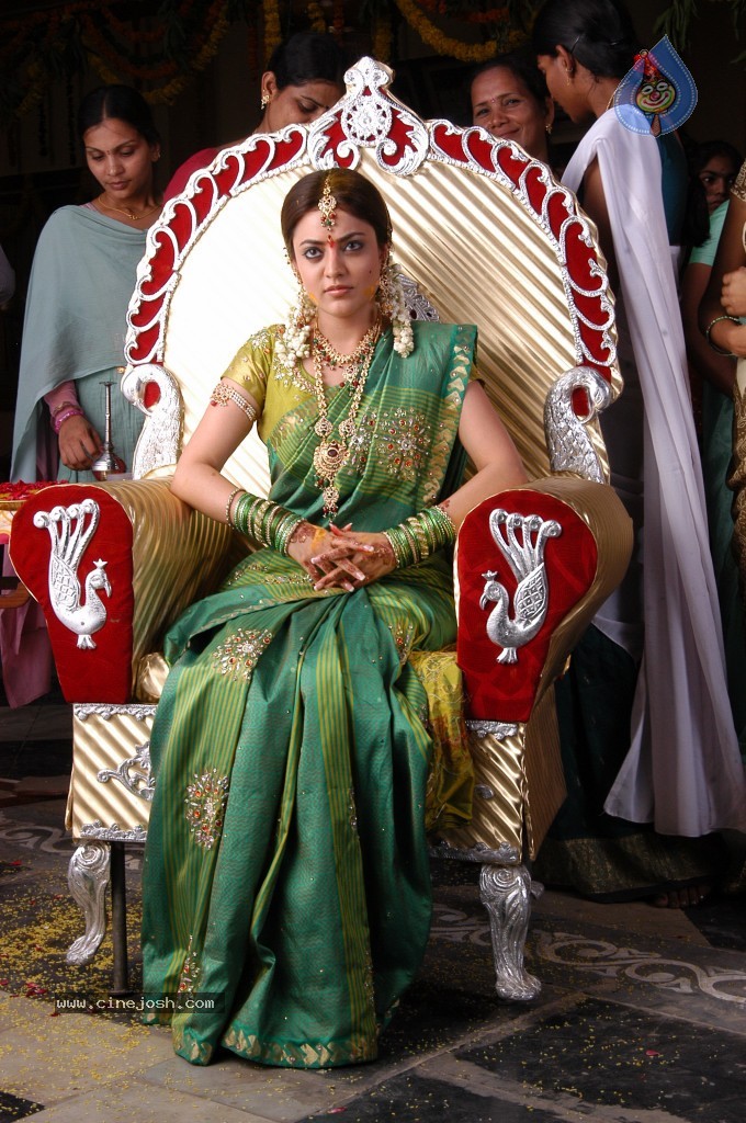 Nisha Agarwal Hot Stills - 33 / 61 photos
