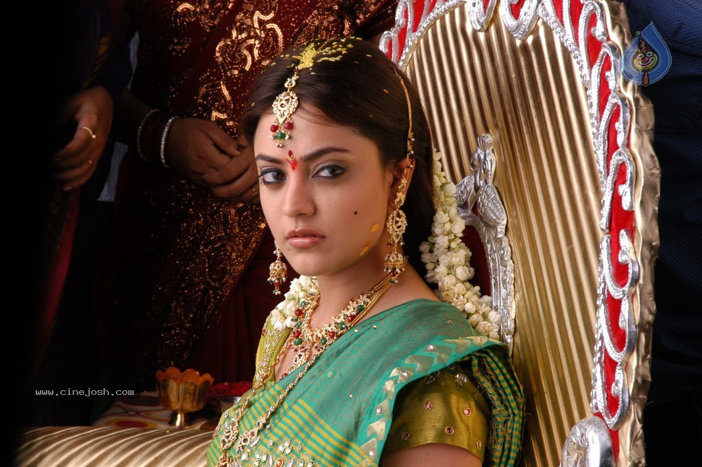 Nisha Agarwal Hot Stills - 42 / 61 photos