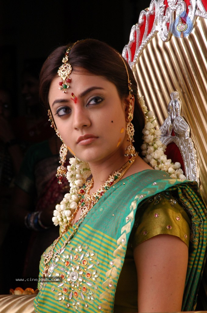 Nisha Agarwal Hot Stills - 48 / 61 photos
