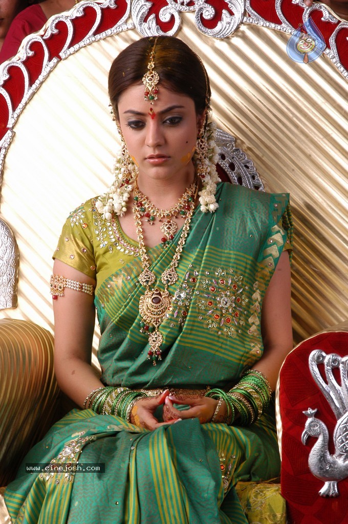 Nisha Agarwal Hot Stills - 56 / 61 photos