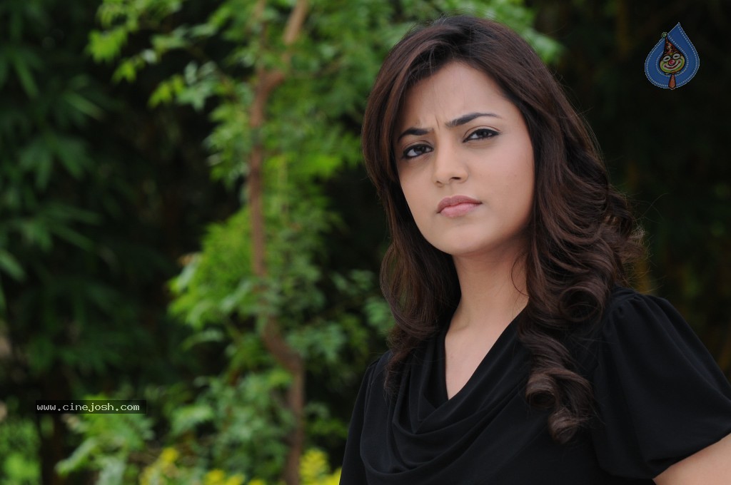 Nisha Agarwal New Gallery - 13 / 60 photos