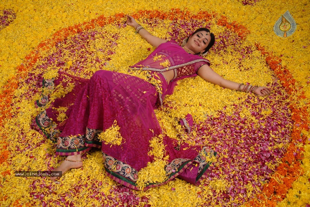 Nisha Agarwal New Photos - 48 / 151 photos