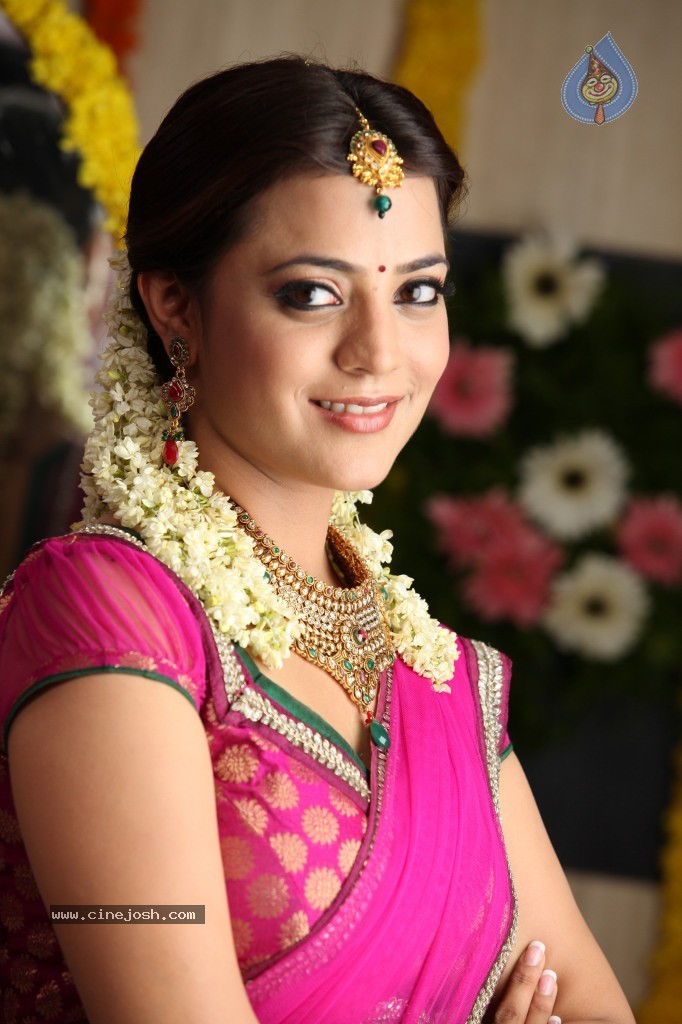 Nisha Agarwal New Photos - 49 / 151 photos