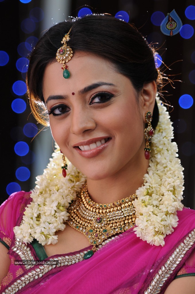 Nisha Agarwal New Photos - 53 / 151 photos