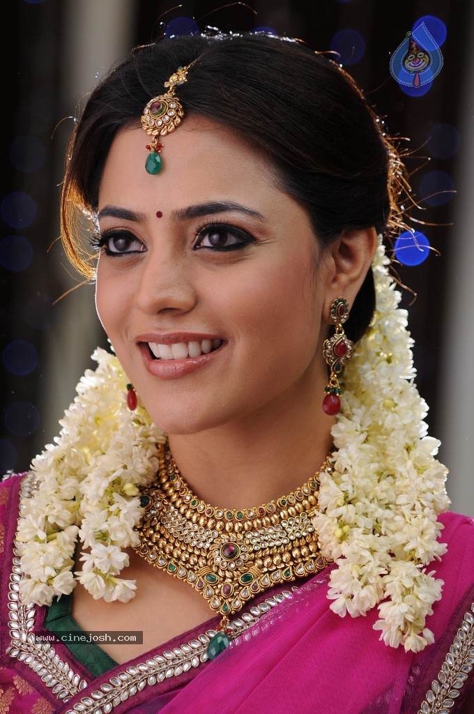 Nisha Agarwal New Photos - 81 / 151 photos