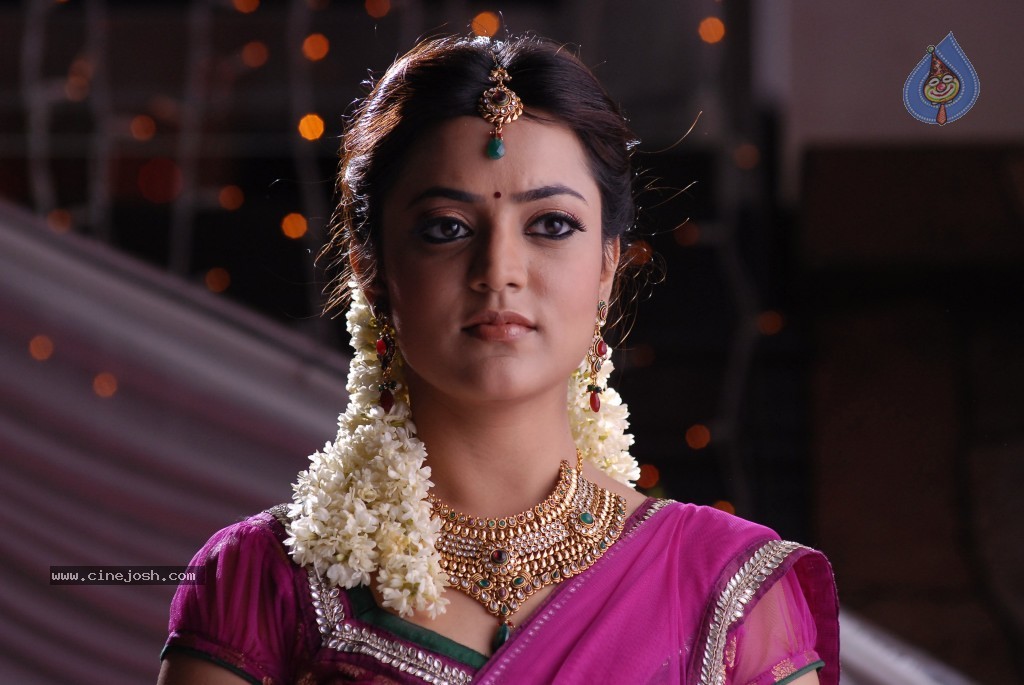 Nisha Agarwal New Photos - 120 / 151 photos