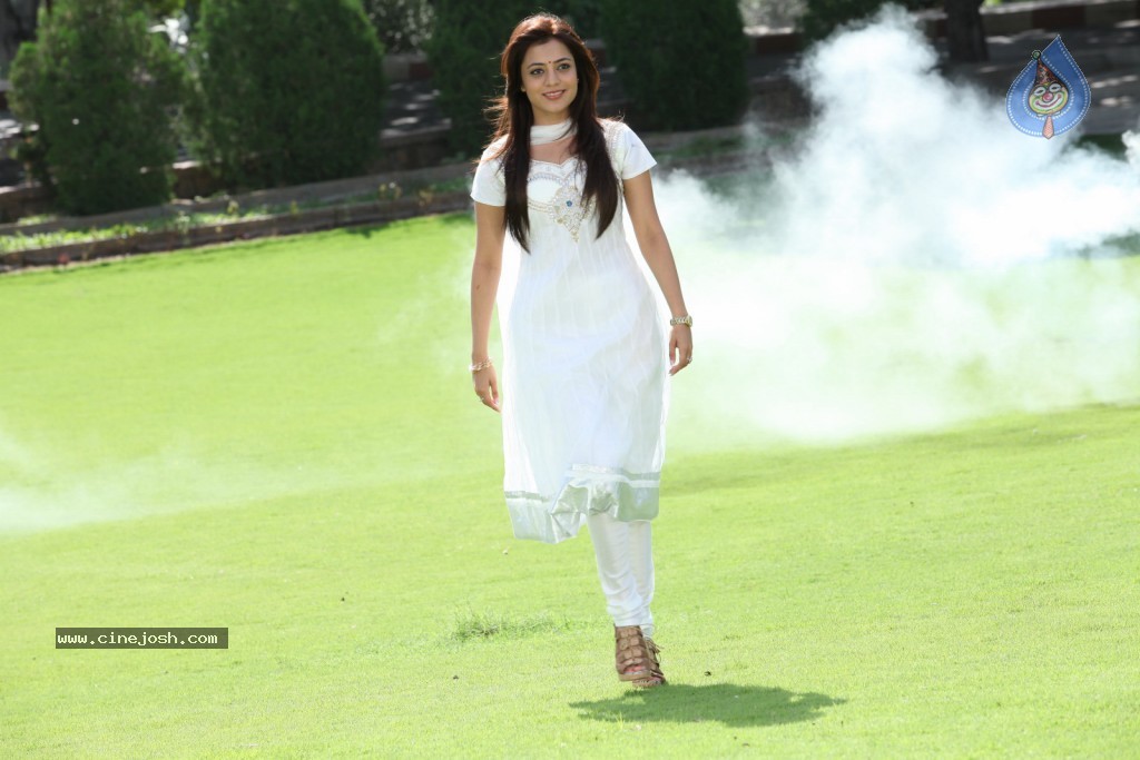 Nisha Agarwal New Pics - 49 / 58 photos