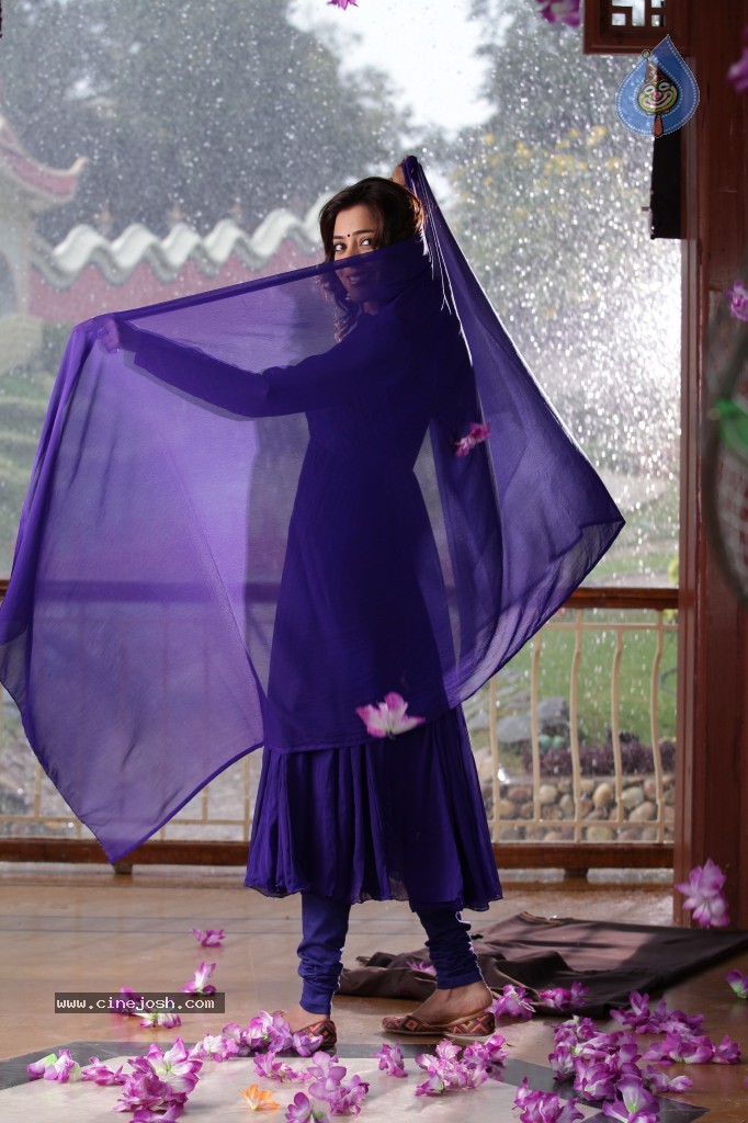 Nisha Agarwal New Pics - 24 / 49 photos