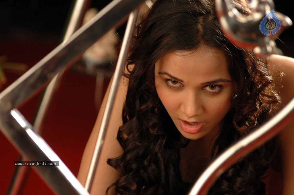 Nisha Kothari New Pics - 20 / 43 photos