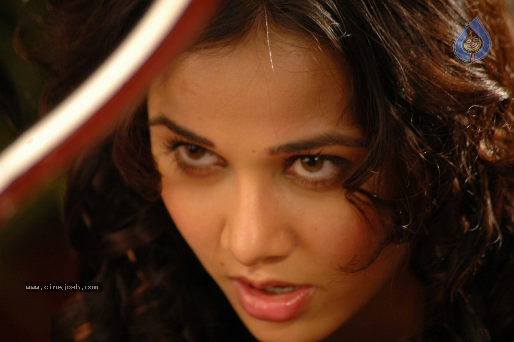 Nisha Kothari New Pics - 26 / 43 photos