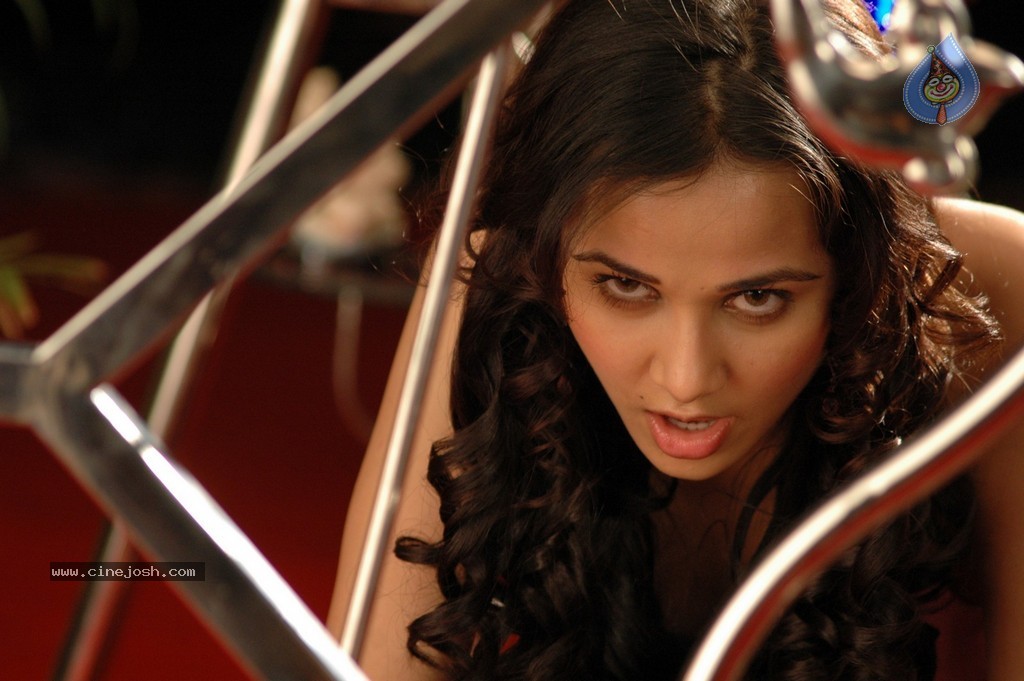 Nisha Kothari New Pics - 43 / 43 photos