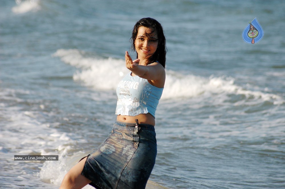 Nisha Kothari Spicy Gallery 2  - 7 / 62 photos