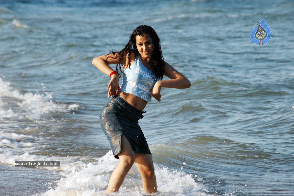 Nisha Kothari Spicy Gallery 2  - 12 / 62 photos