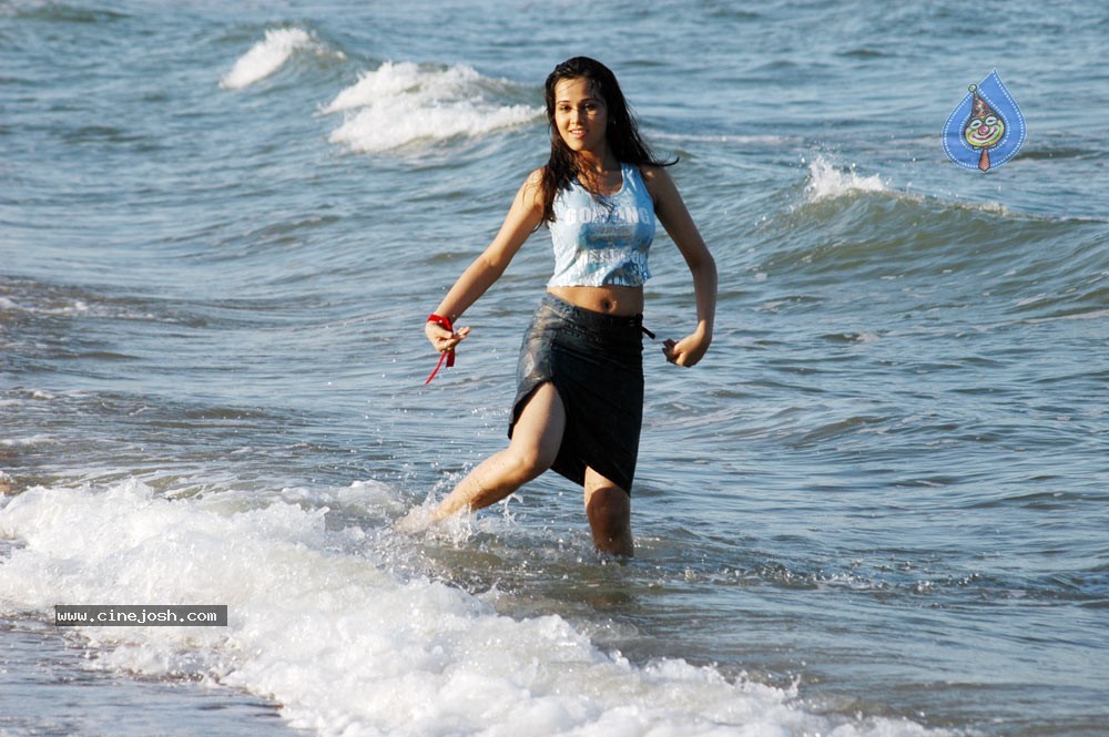 Nisha Kothari Spicy Gallery 2  - 15 / 62 photos